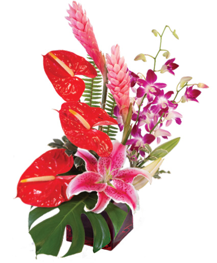 Fuchsia Fantasy — Katy Florist & Gifts, Katy TX