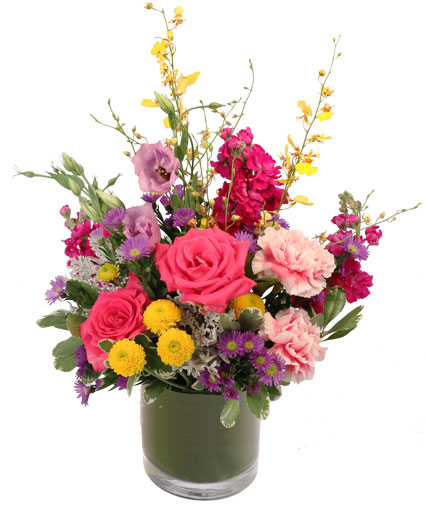 Fun Fuchsia — Katy Florist & Gifts, Katy TX