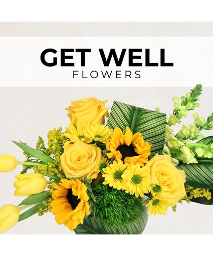 Get Well Florist’s Pick — Katy Florist & Gifts, Katy TX