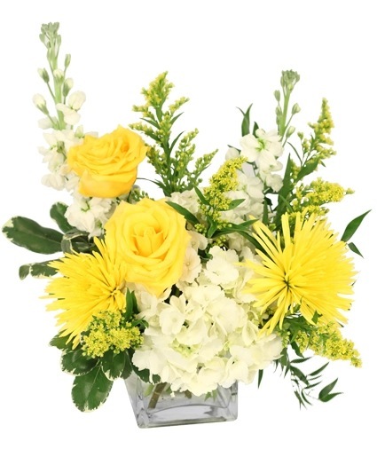 Golden Surprise — Katy Florist & Gifts, Katy TX