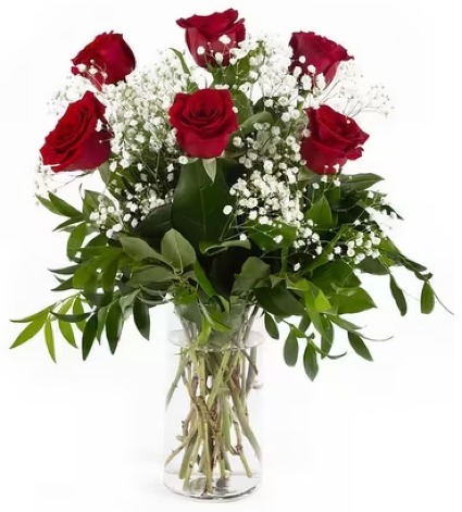 Half-Dozen Rose — Katy Florist & Gifts, Katy TX