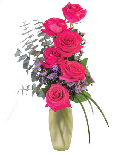 Hot Pink Roses — Katy Florist & Gifts, Katy TX