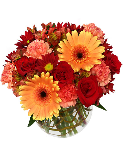 Hot & Spicy — Katy Florist & Gifts, Katy TX