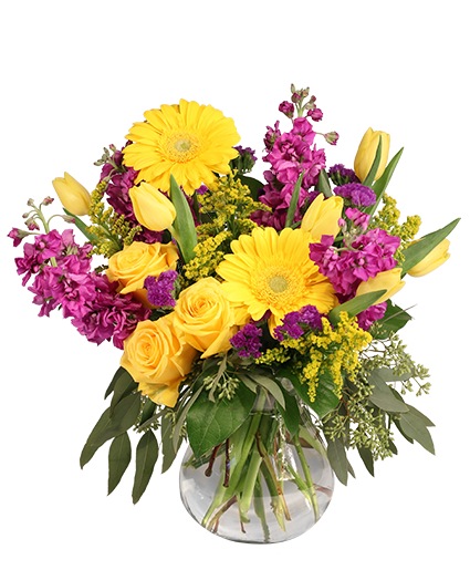 Jazzy Jubilee — Katy Florist & Gifts, Katy TX