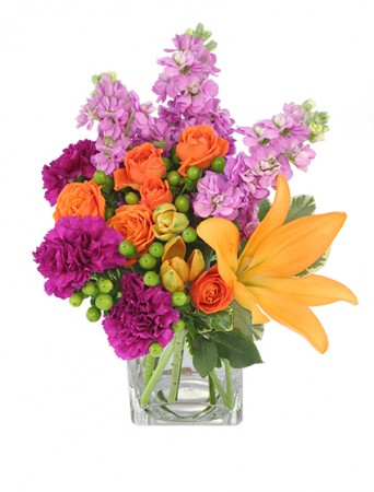 Jubilation! — Katy Florist & Gifts, Katy TX