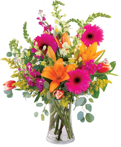 Lively Lilies & Gerberas — Katy Florist & Gifts, Katy TX