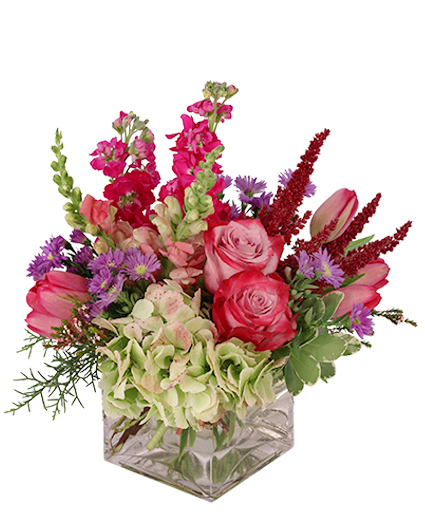Lively & Luscious — Katy Florist & Gifts, Katy TX