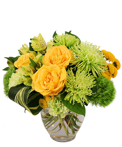 Lush Lemon Roses — Katy Florist & Gifts, Katy TX
