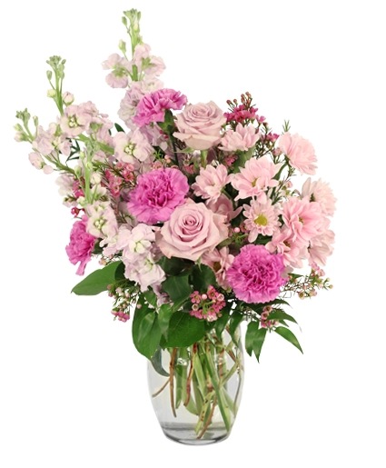 Magical Admiration — Katy Florist & Gifts, Katy TX