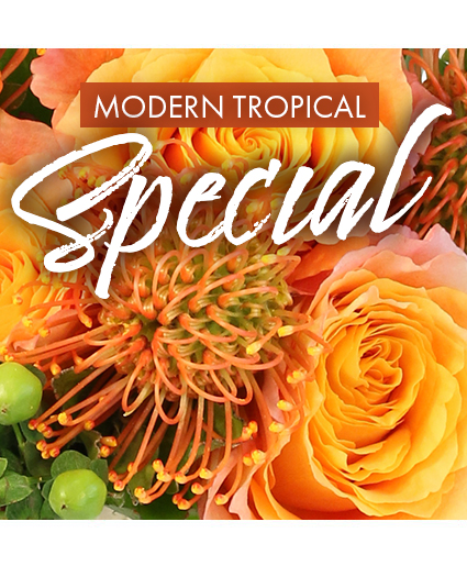Modern Tropical — Katy Florist & Gifts, Katy TX