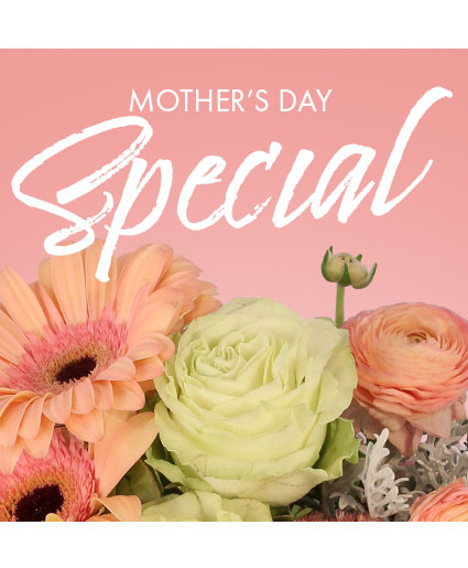 Mother's Day — Katy Florist & Gifts, Katy TX