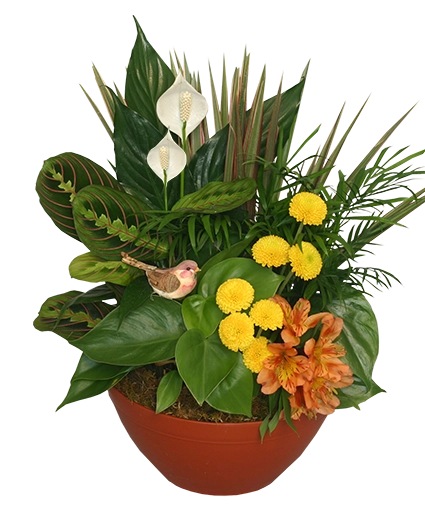 Natural Touch — Katy Florist & Gifts, Katy TX