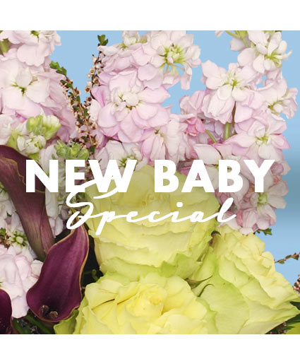New Baby — Katy Florist & Gifts, Katy TX