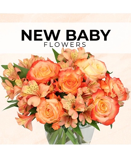 New Baby Florist’s Pick — Katy Florist & Gifts, Katy TX