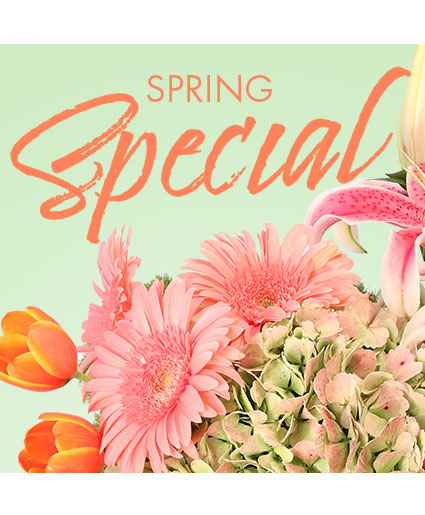 of Spring Florals — Katy Florist & Gifts, Katy TX