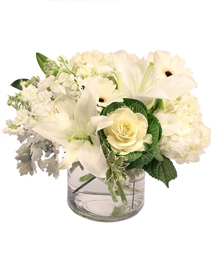 Peaceful Purity — Katy Florist & Gifts, Katy TX