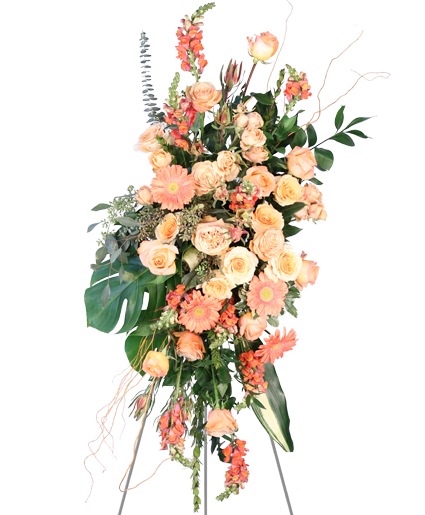 Peach Compassion — Katy Florist & Gifts, Katy TX