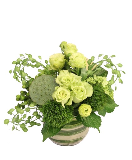 Petite Playfulness — Katy Florist & Gifts, Katy TX
