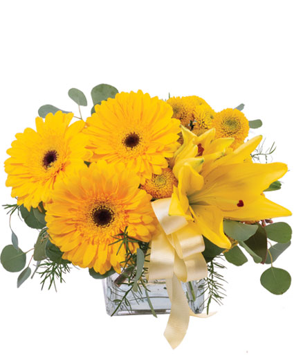 Petite Yellow — Katy Florist & Gifts, Katy TX