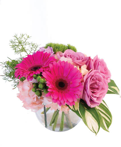 Pink Amore — Katy Florist & Gifts, Katy TX