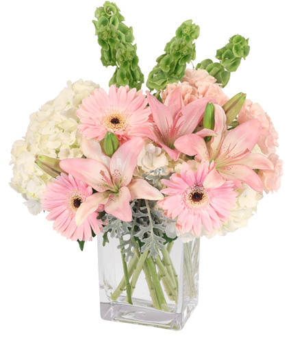 Pink Princess — Katy Florist & Gifts, Katy TX
