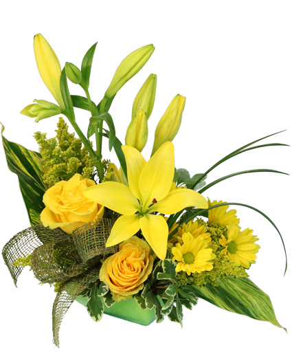 Playful Yellow — Katy Florist & Gifts, Katy TX