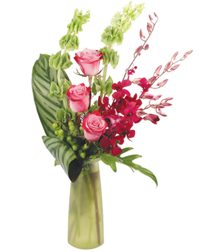 Plum Wonderful — Katy Florist & Gifts, Katy TX