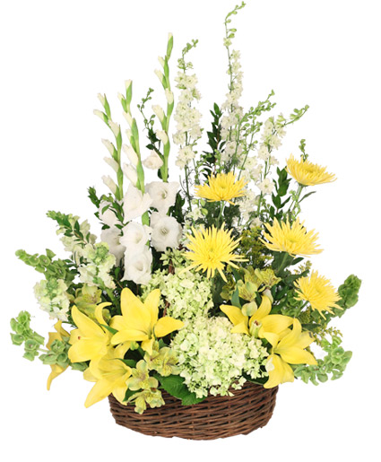 Prayerful Whisper — Katy Florist & Gifts, Katy TX