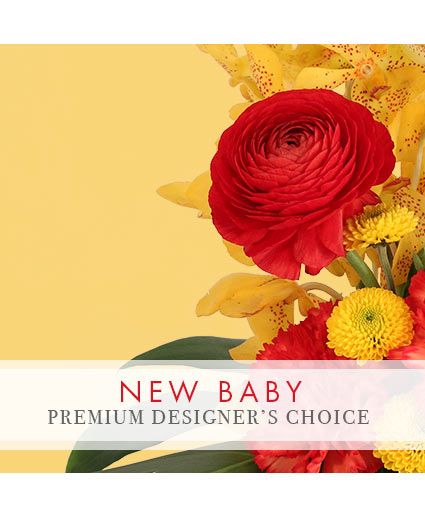 Precious New Baby — Katy Florist & Gifts, Katy TX