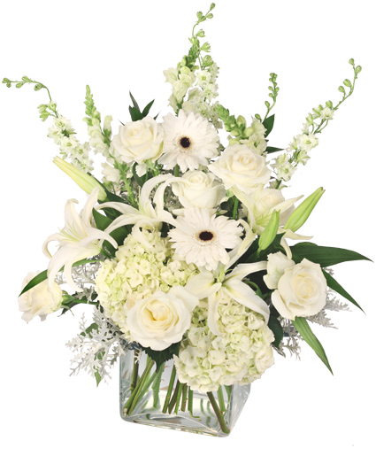 Pure Elegance — Katy Florist & Gifts, Katy TX