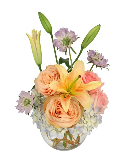 Quaint Garden — Katy Florist & Gifts, Katy TX
