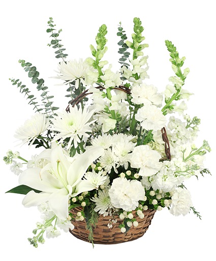 Quiet Nights — Katy Florist & Gifts, Katy TX