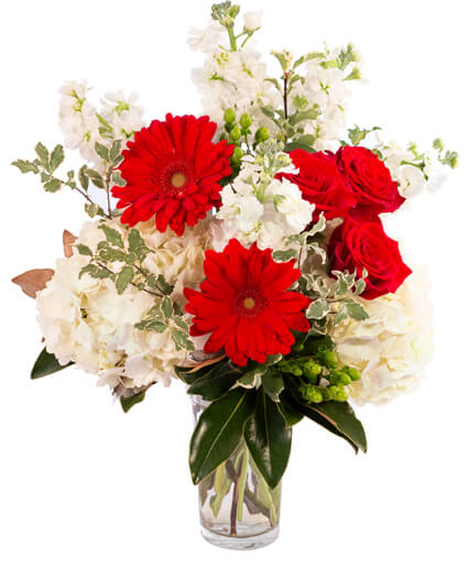 Red Frost — Katy Florist & Gifts, Katy TX