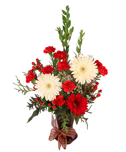 Red & White Daisy Delight — Katy Florist & Gifts, Katy TX