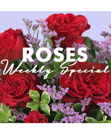 Rose — Katy Florist & Gifts, Katy TX