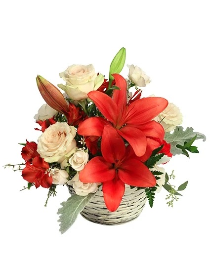 Serene Scarlet & Ivory — Katy Florist & Gifts, Katy TX