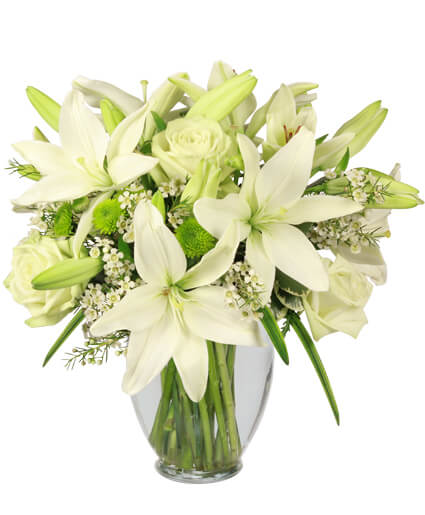 Simplicity — Katy Florist & Gifts, Katy TX