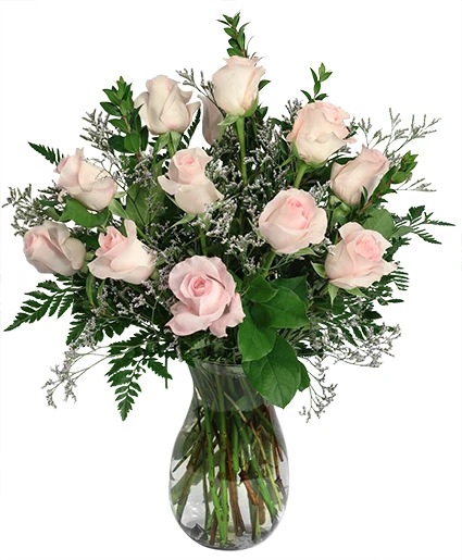Soft Pink Dozen — Katy Florist & Gifts, Katy TX