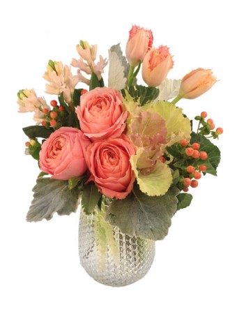 Softness — Katy Florist & Gifts, Katy TX