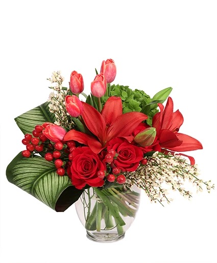Sophisticated Scarlet — Katy Florist & Gifts, Katy TX