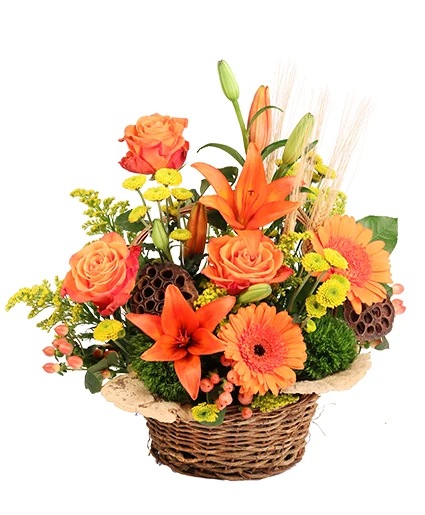 Spirited Citrus — Katy Florist & Gifts, Katy TX