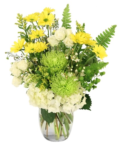 Splendid Citrus — Katy Florist & Gifts, Katy TX