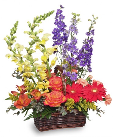 Summer's End — Katy Florist & Gifts, Katy TX