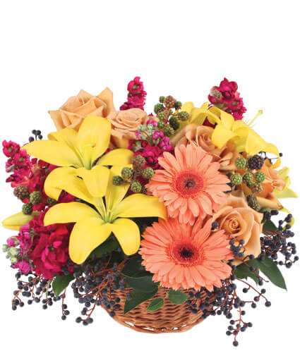 Sun-Kissed Country — Katy Florist & Gifts, Katy TX
