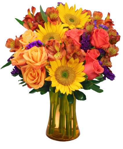 Sunflower Sampler — Katy Florist & Gifts, Katy TX