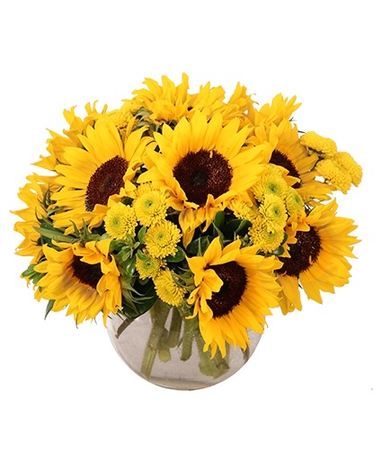 Sunny Escape — Katy Florist & Gifts, Katy TX