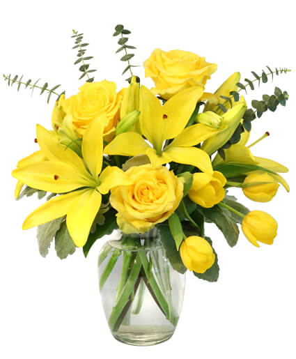 Sunshine of Spring — Katy Florist & Gifts, Katy TX