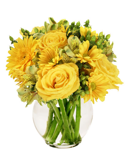 Sunshine Perfection — Katy Florist & Gifts, Katy TX