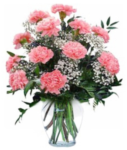 Sweetly Pink Carnations — Katy Florist & Gifts, Katy TX