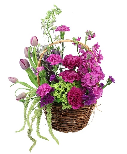 Tasteful Plums — Katy Florist & Gifts, Katy TX